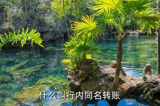 什么叫行內同名轉賬