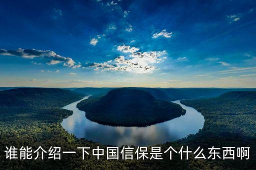 誰能介紹一下中國信保是個什么東西啊