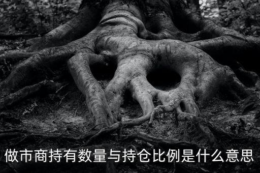 做市商持有數(shù)量與持倉比例是什么意思