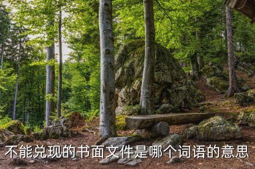不能兌現(xiàn)的書面文件是哪個詞語的意思