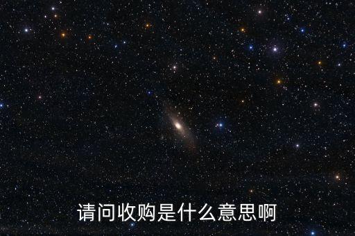 請(qǐng)問(wèn)收購(gòu)是什么意思啊
