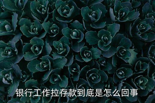 銀行工作拉存款到底是怎么回事