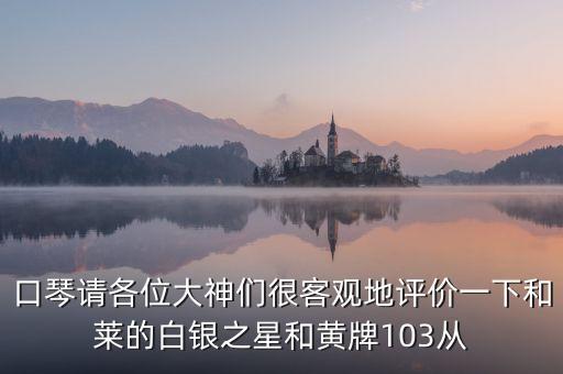 口琴請各位大神們很客觀地評價一下和萊的白銀之星和黃牌103從