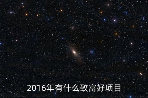 2016年有什么致富好項目
