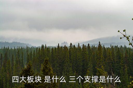 四大板塊 是什么 三個(gè)支撐是什么