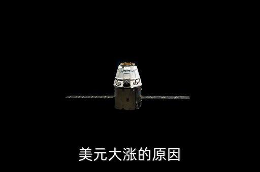 美元大漲的原因