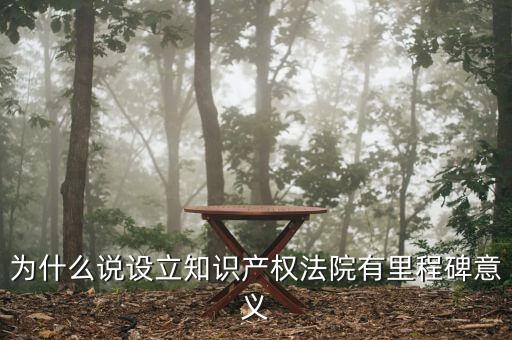 為什么要設(shè)立知識產(chǎn)權(quán)法院，成立知識產(chǎn)權(quán)法院有哪些好處