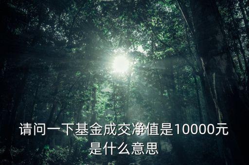 成交凈值是什么意思，成交凈值是什么意思