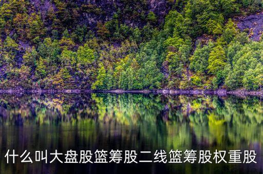 什么叫大盤股籃籌股二線籃籌股權(quán)重股