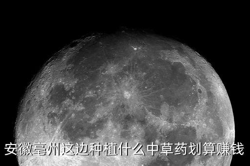 安徽亳州這邊種植什么中草藥劃算賺錢