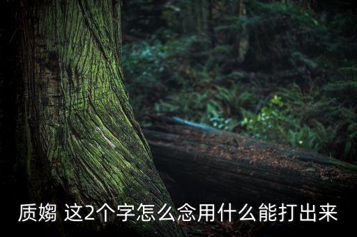 質(zhì)媰 這2個(gè)字怎么念用什么能打出來