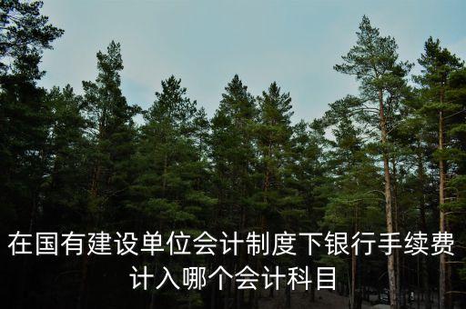 在國(guó)有建設(shè)單位會(huì)計(jì)制度下銀行手續(xù)費(fèi)計(jì)入哪個(gè)會(huì)計(jì)科目