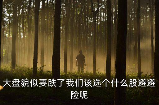 減持潮至買什么票避險，有效避險的股票品種是不是鋼鐵和酒類醫(yī)藥類