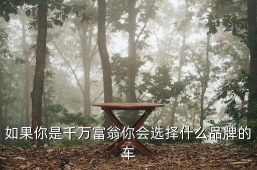 中國(guó)千萬(wàn)富翁開(kāi)什么車，在中國(guó)千萬(wàn)富豪都開(kāi)些什么車啊
