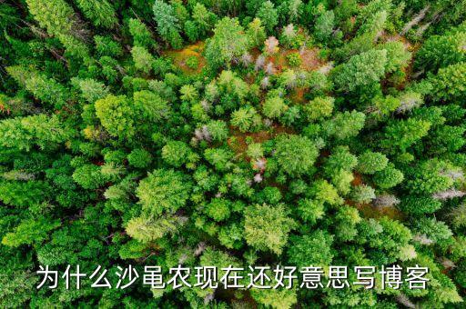沙黽農(nóng)為什么要害散戶，沙黽農(nóng)到底是個(gè)什么樣的人