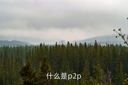 p2p支付是什么，什么是p2p