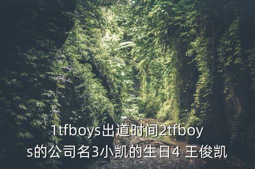 1tfboys出道時間2tfboys的公司名3小凱的生日4 王俊凱