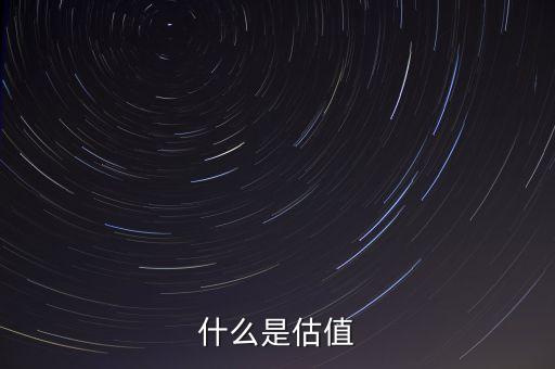 什么是估值