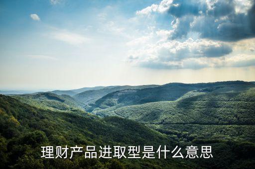 理財(cái)進(jìn)取型什么意思，理財(cái)進(jìn)取型什么意思