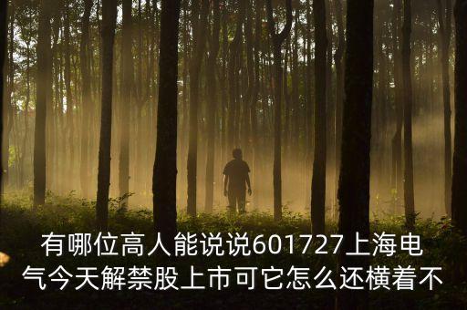 601727上海電氣為什么停牌，上海電氣股票今天怎么不漲