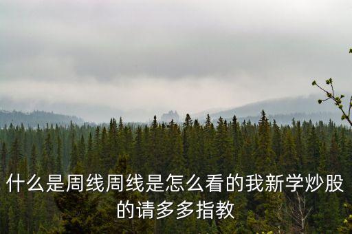 什么是周線周線是怎么看的我新學(xué)炒股的請多多指教