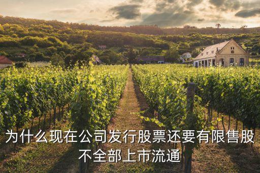 為什么規(guī)定限售股，為什么要限售流通股票限售的理由和根據(jù)是什么