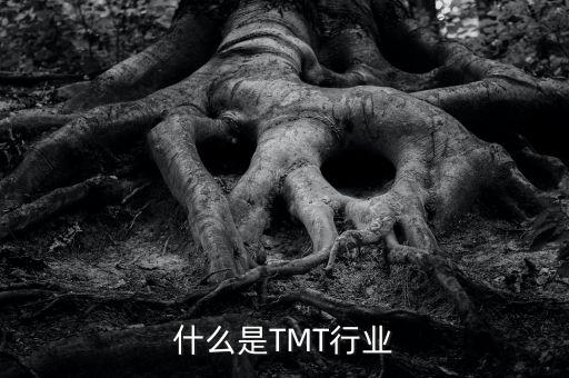 什么是TMT行業(yè)
