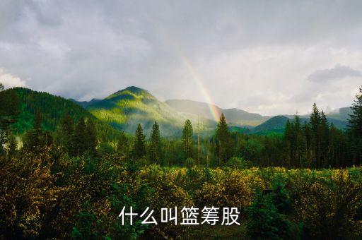 籃籌股是什么意思，什么叫籃籌股