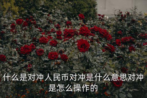 什么是對(duì)沖人民幣對(duì)沖是什么意思對(duì)沖是怎么操作的