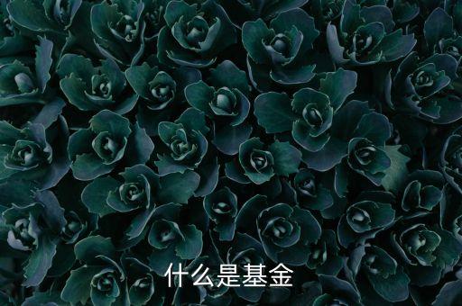 什么是普通基金，什么是普通股基金