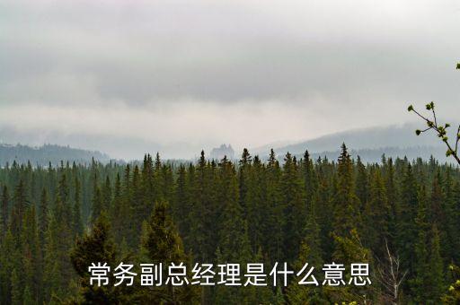 常務(wù)副總經(jīng)理是什么意思