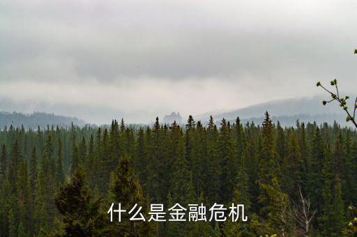 什么是光大銀行危機(jī)，金融危機(jī)是什么意思