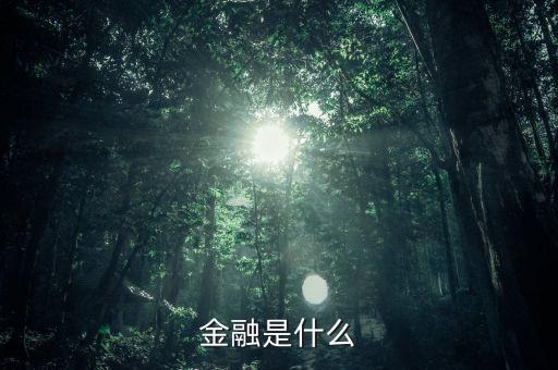 豆粒金融是什么，金豆子金融科技是什么