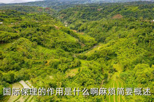什么是國際保理，國際信用證和國際保理的區(qū)別以及風(fēng)險(xiǎn)區(qū)別