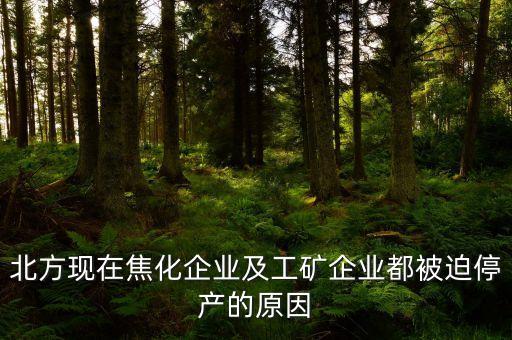 北方現(xiàn)在焦化企業(yè)及工礦企業(yè)都被迫停產的原因