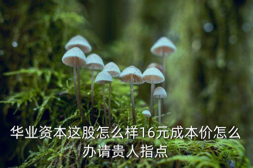 華業(yè)資本這股怎么樣16元成本價(jià)怎么辦請貴人指點(diǎn)