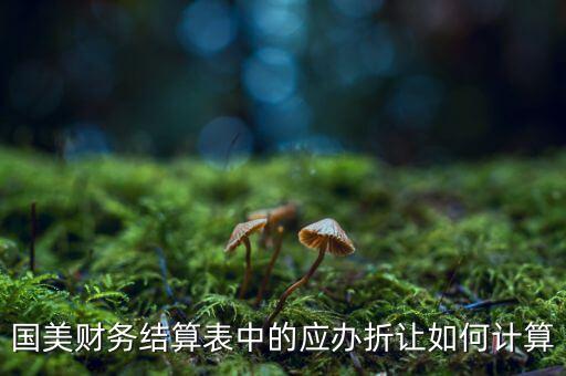 國(guó)美財(cái)務(wù)結(jié)算表中的應(yīng)辦折讓如何計(jì)算