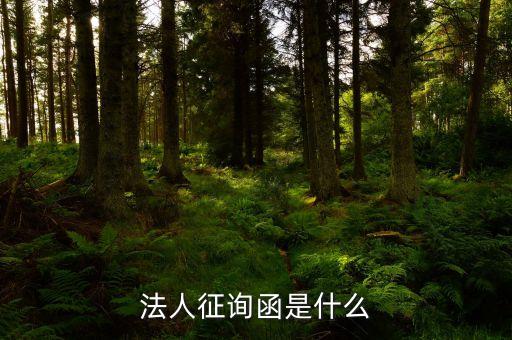 法人征詢函是什么