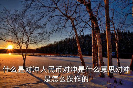 什么是對(duì)沖人民幣對(duì)沖是什么意思對(duì)沖是怎么操作的