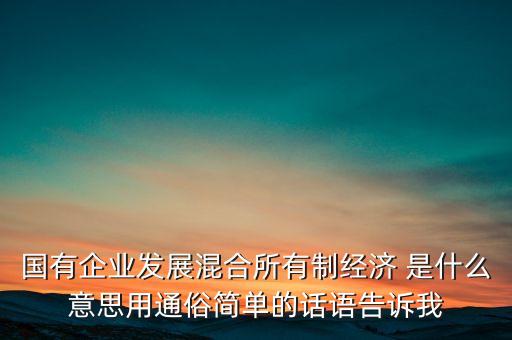 為什么叫混合資本，國有企業(yè)發(fā)展混合所有制經(jīng)濟 是什么意思用通俗簡單的話語告訴我