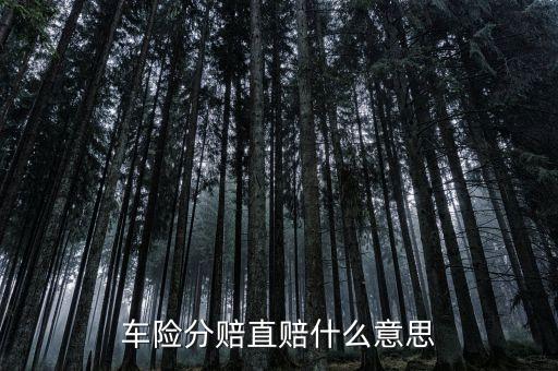 車險分賠直賠什么意思