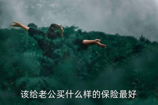 該給老公買(mǎi)什么樣的保險(xiǎn)最好
