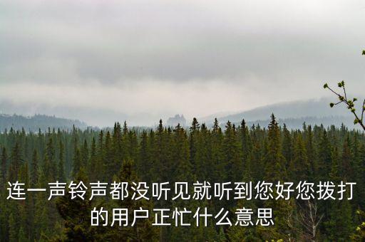 連一聲鈴聲都沒聽見就聽到您好您撥打的用戶正忙什么意思