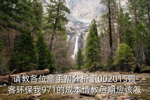 請(qǐng)教各位高手幫分析下002015霞客環(huán)保我971的成本請(qǐng)教后期應(yīng)該怎