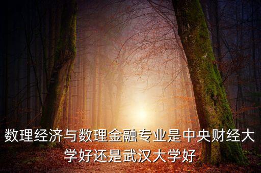 數(shù)理經(jīng)濟(jì)與數(shù)理金融專業(yè)是中央財(cái)經(jīng)大學(xué)好還是武漢大學(xué)好