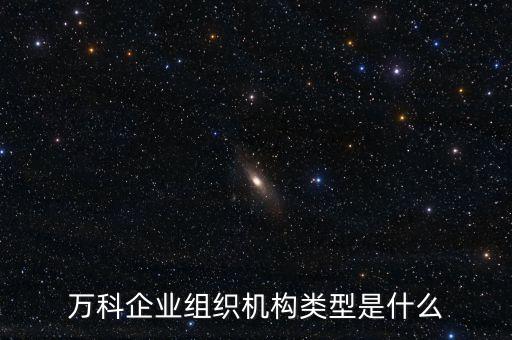 萬科企業(yè)組織機(jī)構(gòu)類型是什么