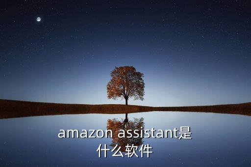 amazon assistant是什么軟件
