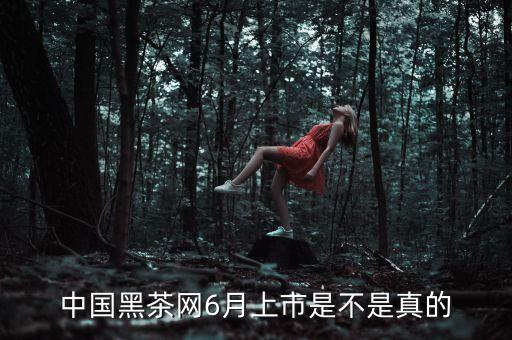 中國(guó)黑茶網(wǎng)6月上市是不是真的