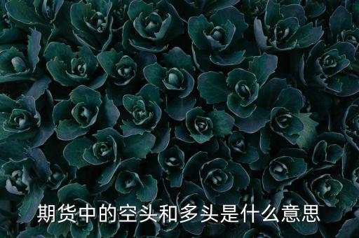 期貨空頭是什么意思，期貨市場(chǎng)中空頭者是什么意思