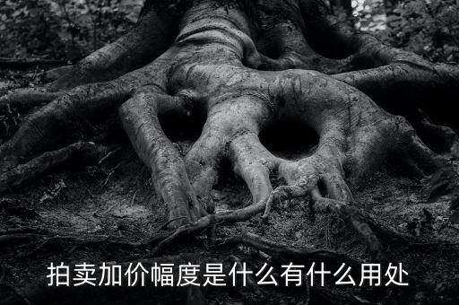 什么是加碼幅度，貸款利率定價方式中加點幅度是什么意思